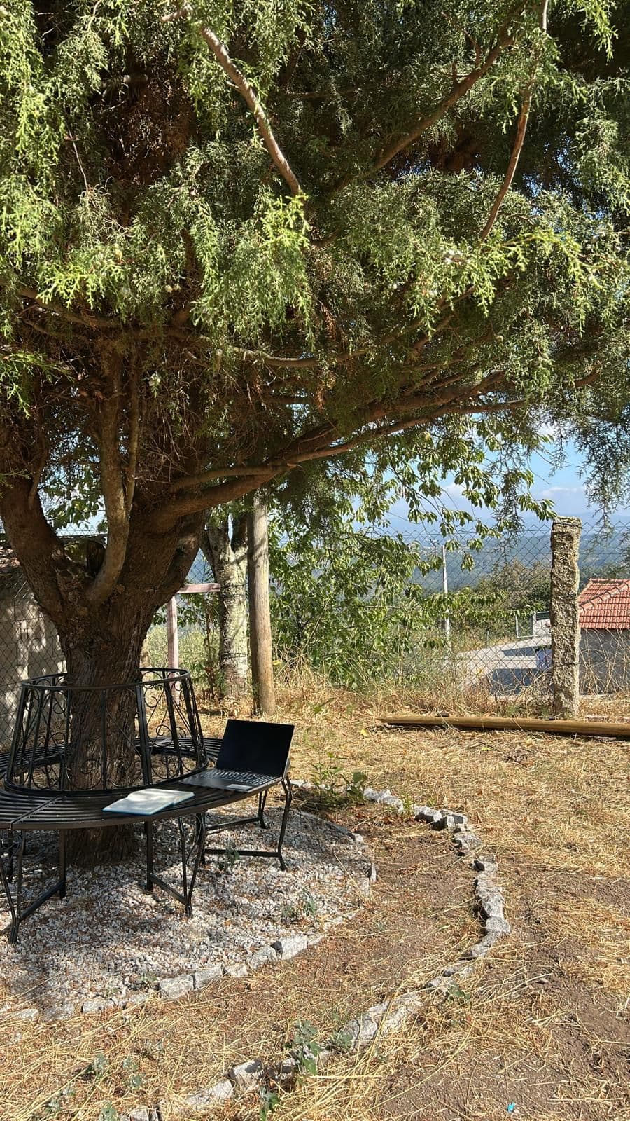 Quinta das Flores da Mãe 2